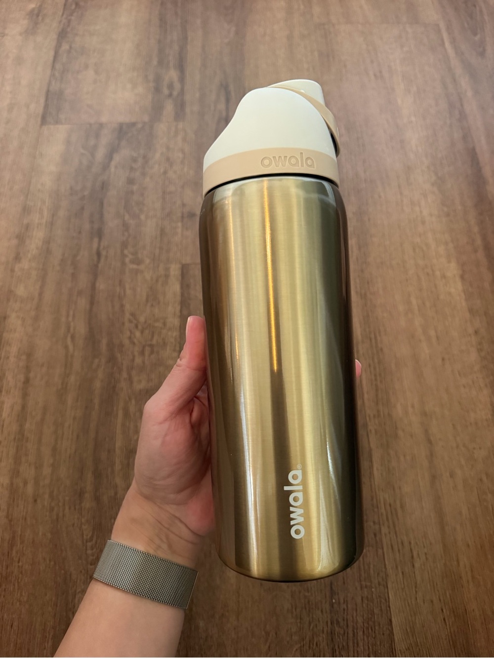 New Owala FreeSip Absolute Sleigh